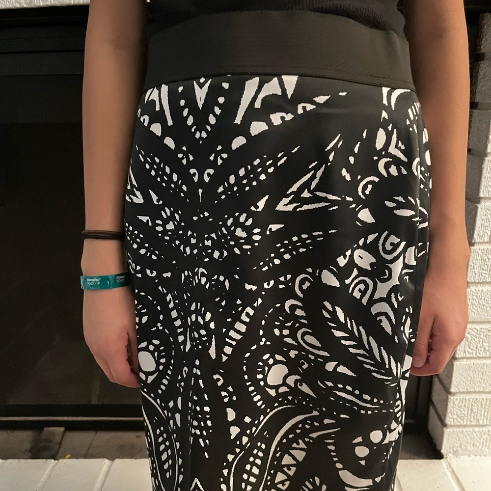 Express Pencil Skirt